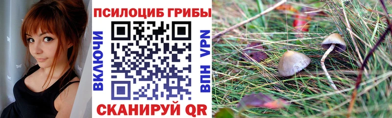 Галлюциногенные грибы Psilocybine cubensis  Купить где  Суоярви 